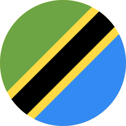 Send money to Tanzania
