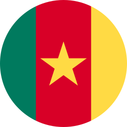 Send money to Cameroon